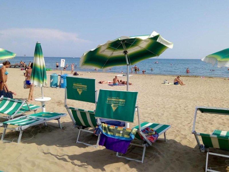 CE41C34E1BF7232F247C4BCB44D593EC