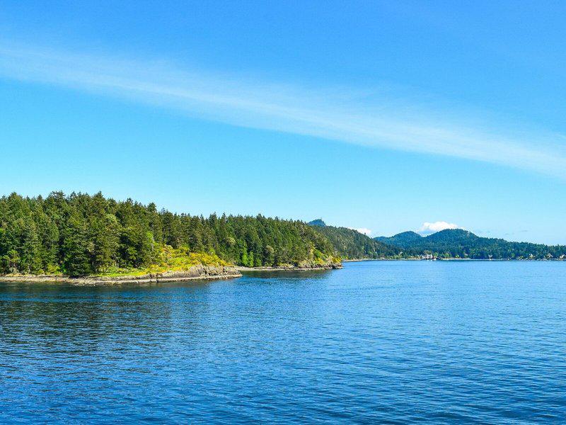 53C3B2A34FE6E7613FA819E6EF05800C