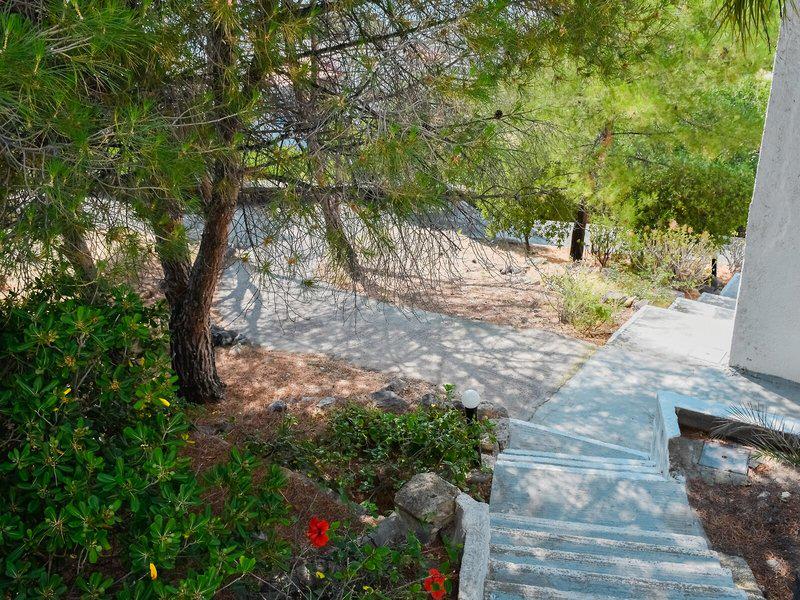 39C64CA720747ECAAD0FBA939412C019