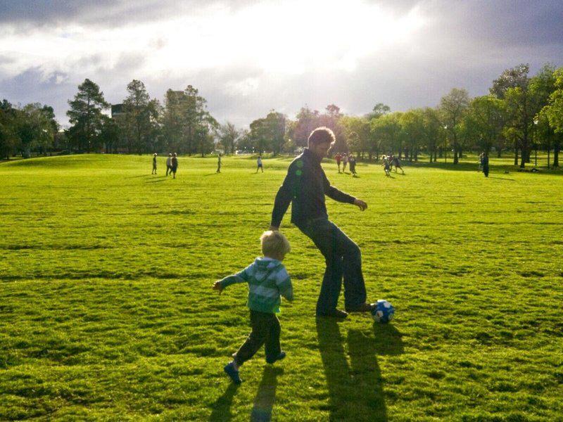 E0D0EBE1F531390F4DD7731125266A67