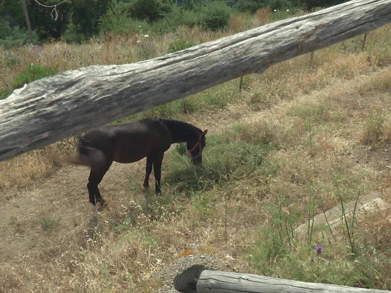 47E7DA4C47679756490254875C140CA2