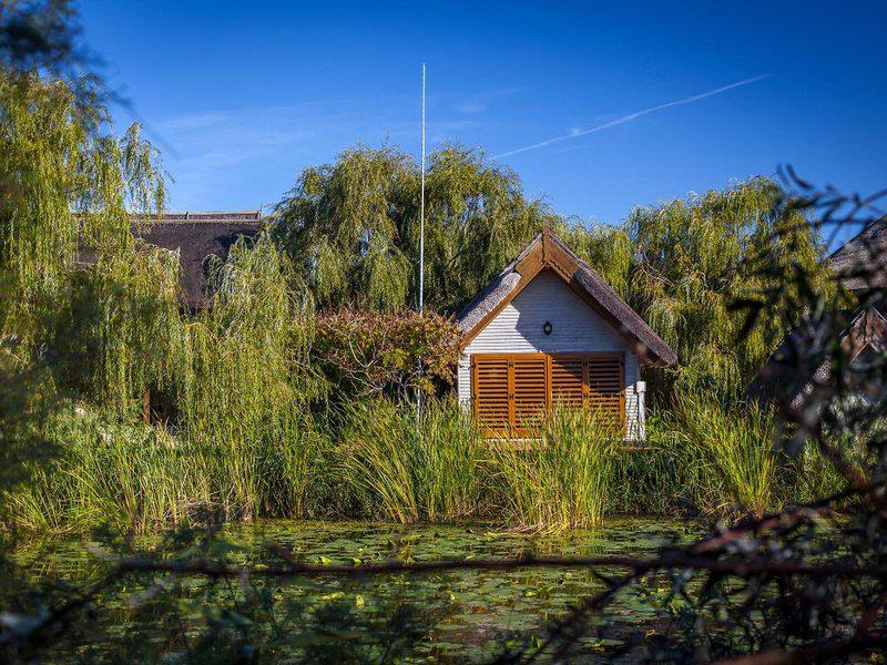 851AC873E955CFD57A495E5ED585AA04