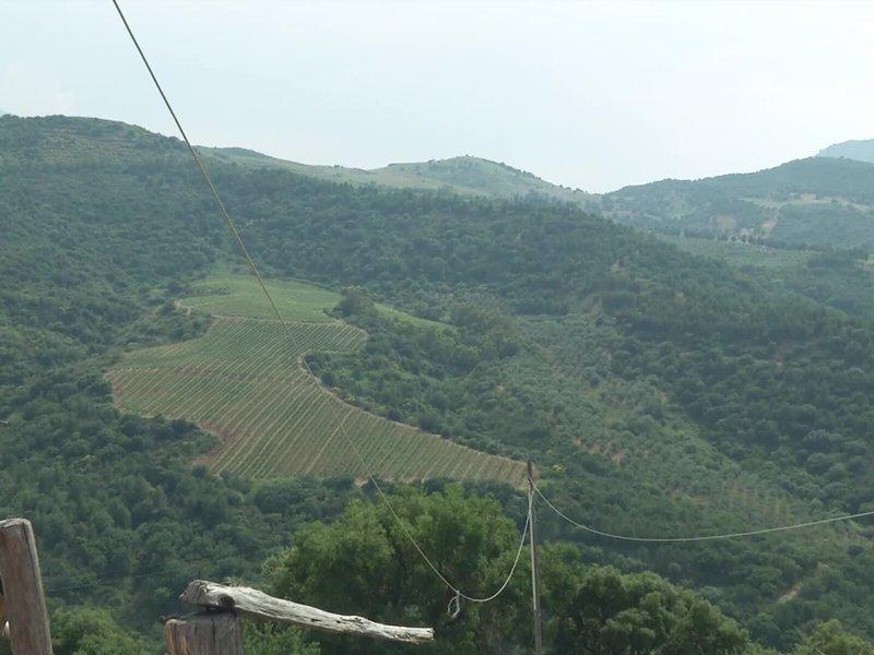 9F24FD08A1B6FC26820B2DDDDD1B3F96