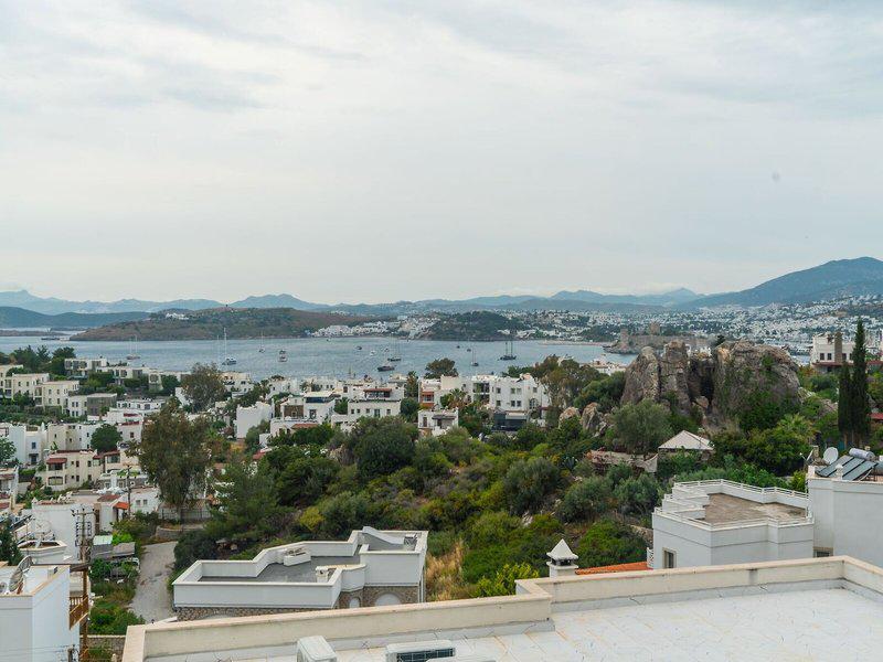 BAA09253F64A7134A2CC1A6FB733316D