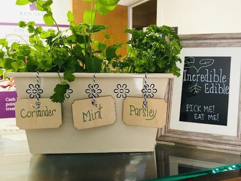 D0FD20DDA06FF939E1446446A007E72E