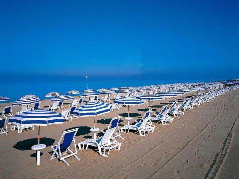 CF447CF4CB897F2D4BD8C247E6EFFD36