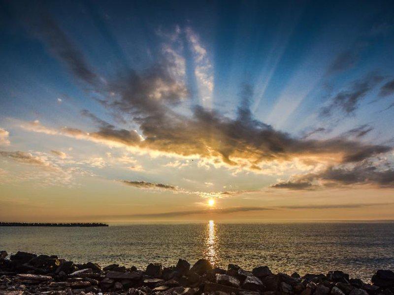 ED5E591CAC1DDEA27C9298E62F9D4850