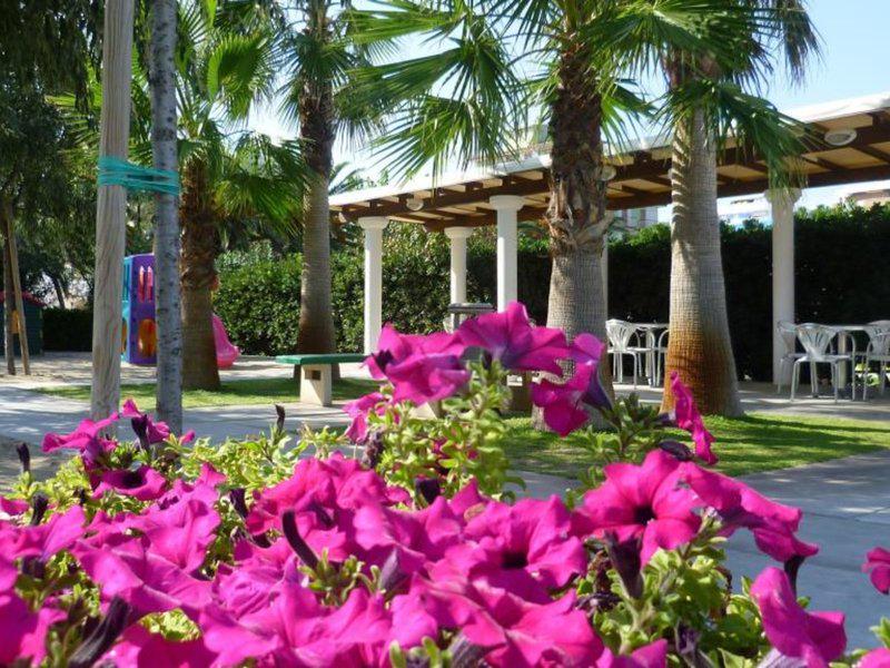 297F2ABF1D9A1FADD2A1EC7BEF427B44