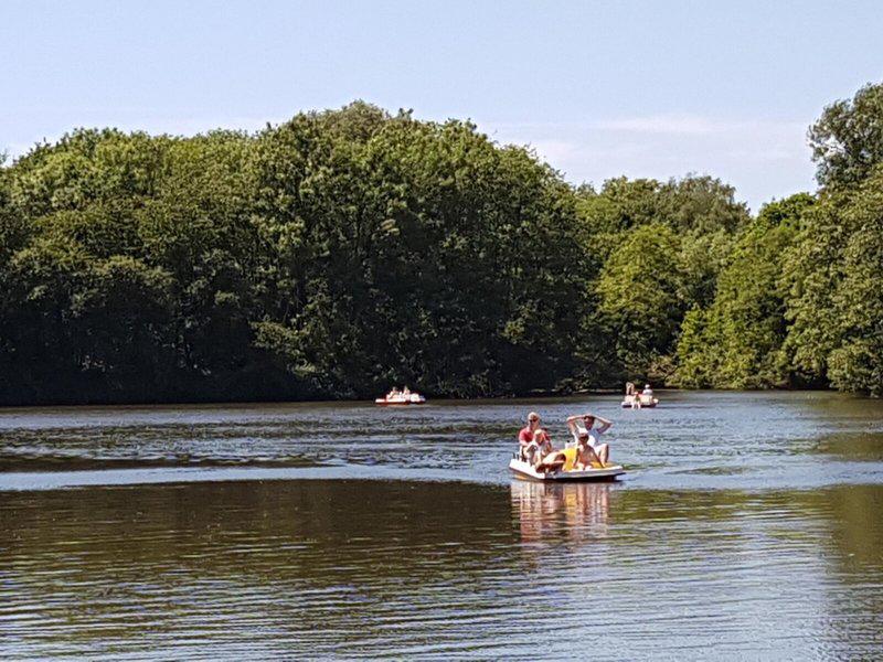 FB9B5A55F83CE1AD1CEAF4B8303766B7