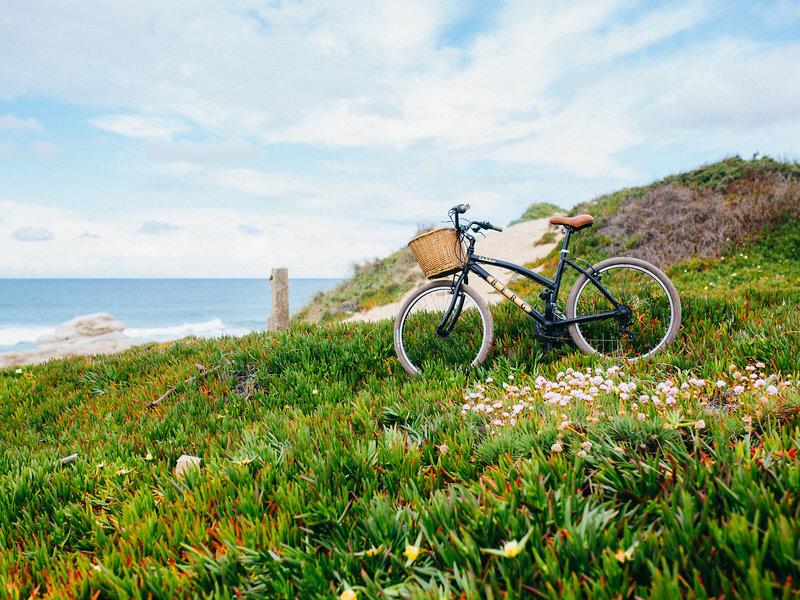 B172BF4A21480C3A5BAD7E779A018F31