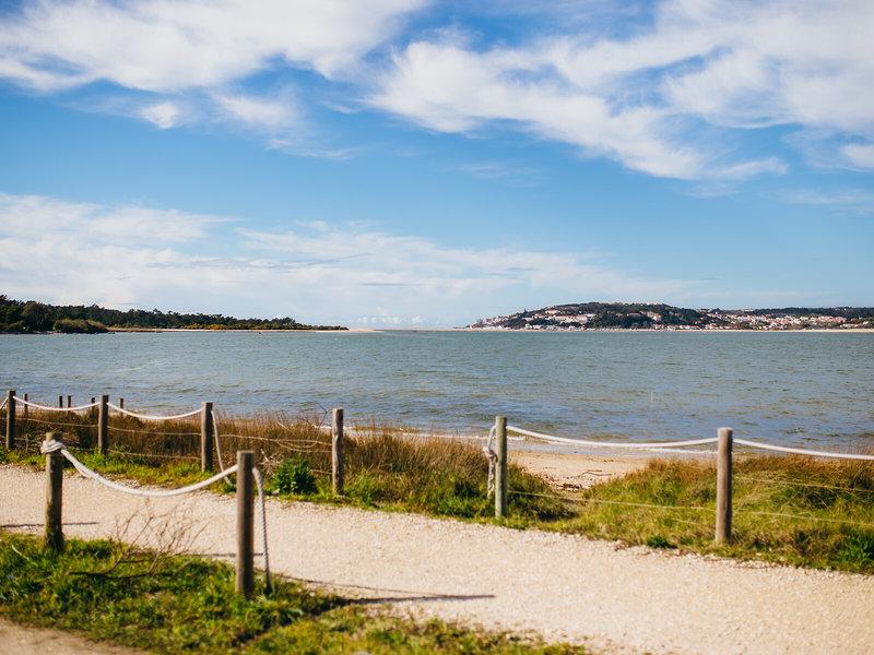 ACA79784F3CD46469D0EF564D46B7444