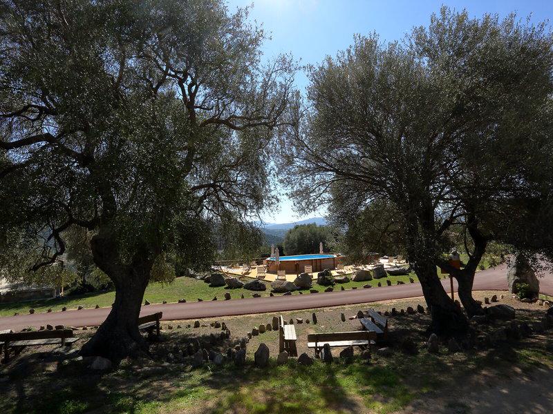 62F1B05D6E45ACDCB6C7B1ED6144B31A