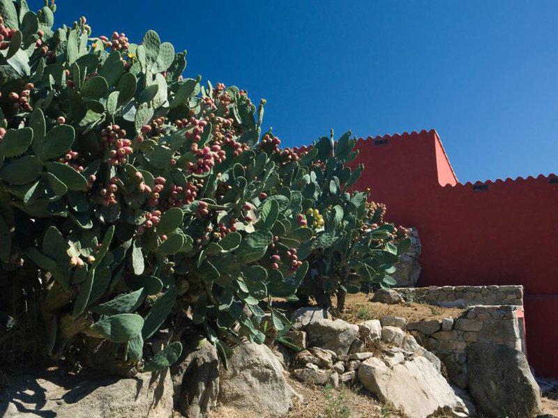 DB377C5C4ADE71D6249934323EA46EE2