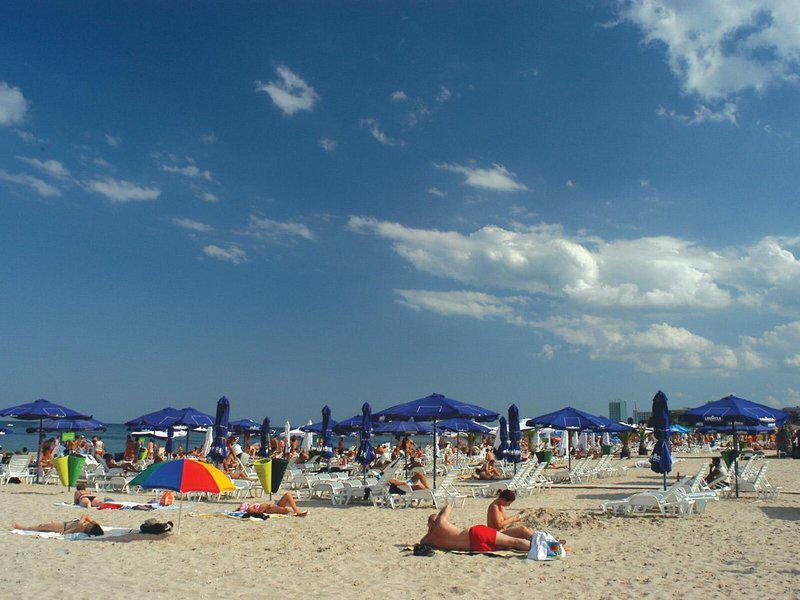 9D076F596D68BAEC0D9B9FC6E0A68557