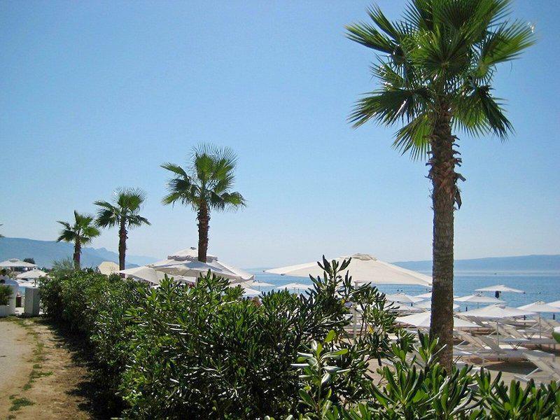 D78570AEA2BDC547BF27EBC7246C5993