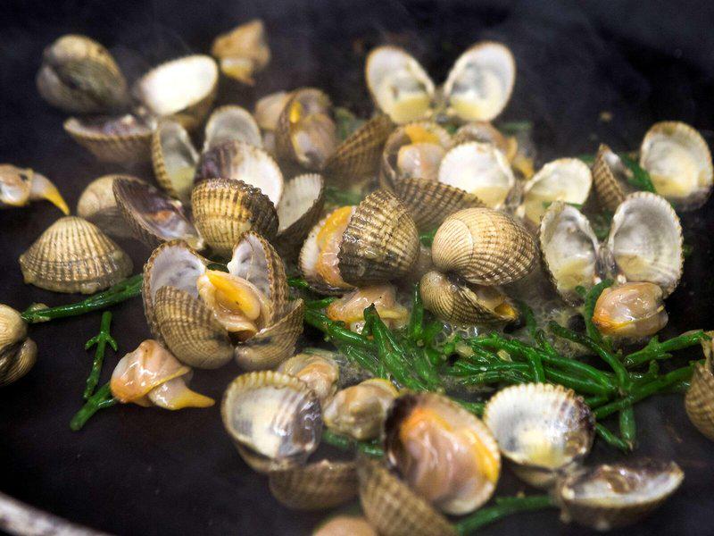 1CCFD9A2BB60AB3D0DE14AAED3C78A3E