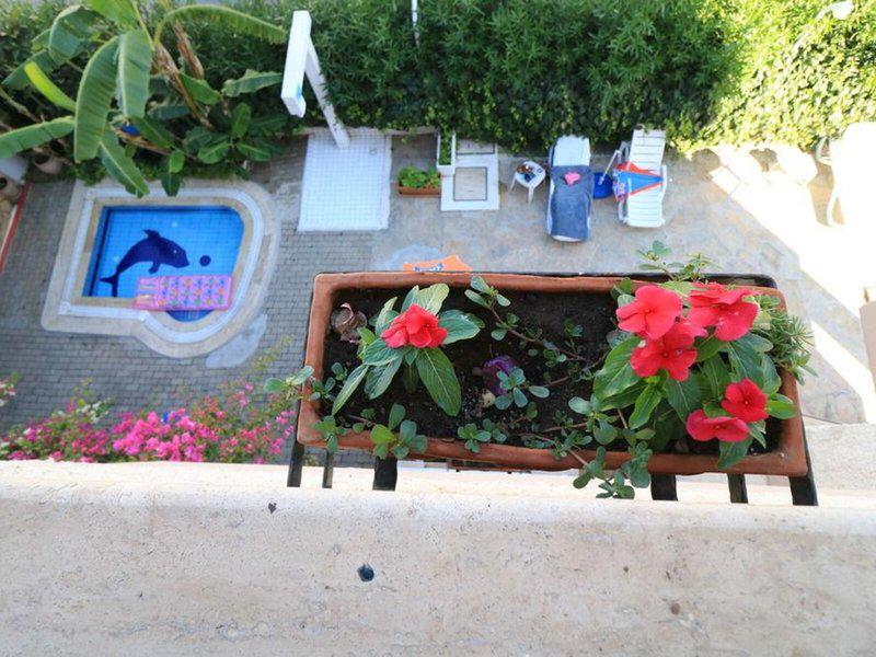 1753AE474474F1667CF4EA9B369BF62E