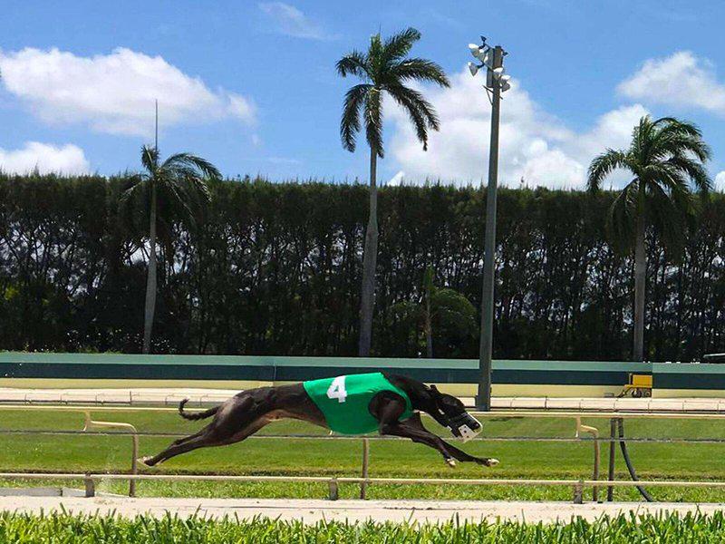 EF4029D6B16ED5255A9CC68FB1BAF602