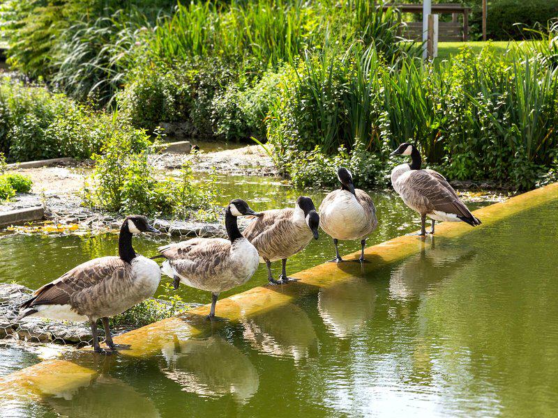 DC51685F9D7BAF6565D92F89236FAB10