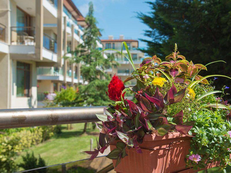 C250962C7C32B19838CA5454DA0651F8