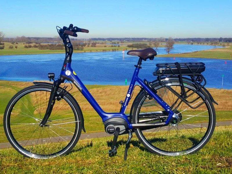 8AFE7575C394526ED7B7919A3BF06231