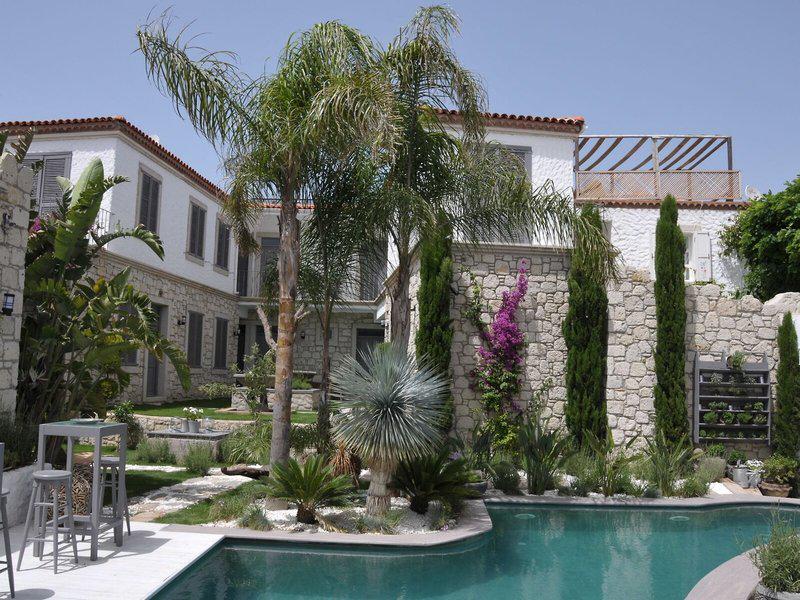 7A202311728BE05281B0FF336531FD89