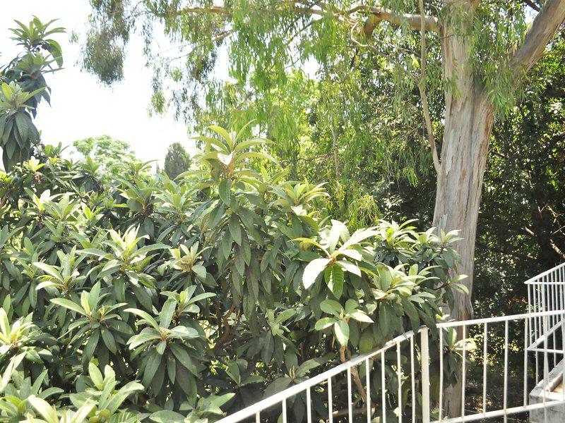 02C54B14815CBCF0A9C29FFE7FFCD6F0