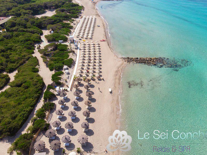 39FB3981D22C7BEEED6A42DC066B78AA