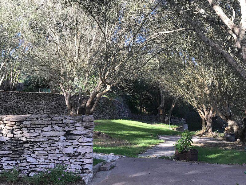 62D11BECD5CBE933CB38CD7D59340D56