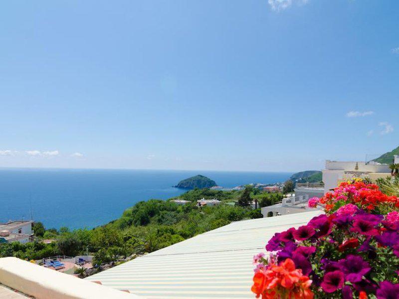 6857F90DF67AA7CB62709BDF99E6489C