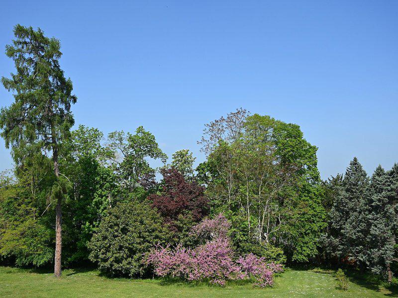 17DA5DFC9BB52447ECCB44AD426E79FE