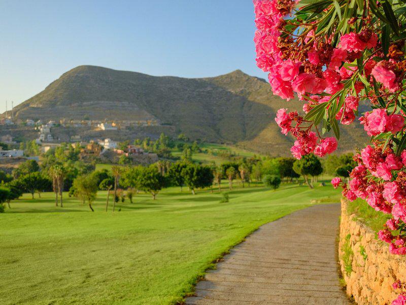 0492837E499F24B9A6A672640D491561