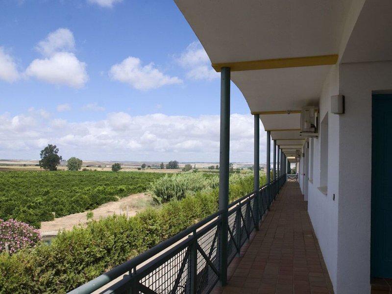 1D47CC8F2483E0768C53537A8BC43D4E