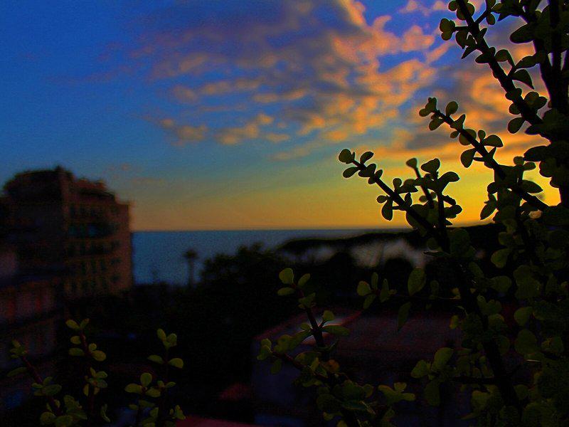 1B64A6BAB3BE1C8B63DFCE7C852D1BA1