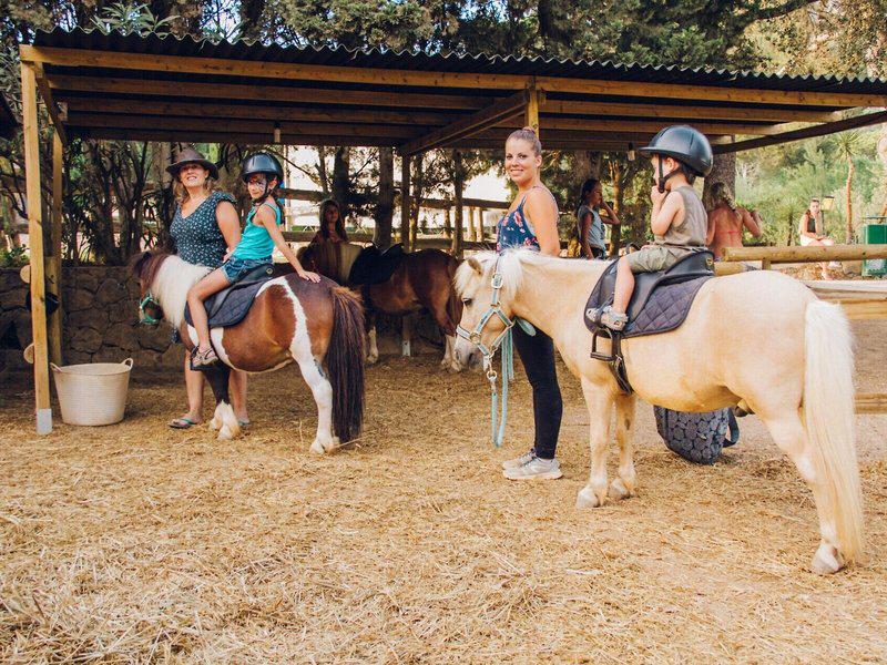 463EFC0B3F7D862D8A3E83469DE97EE7