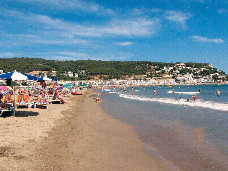 2F44BBF0FECE5AF13CF104CA89171C3C