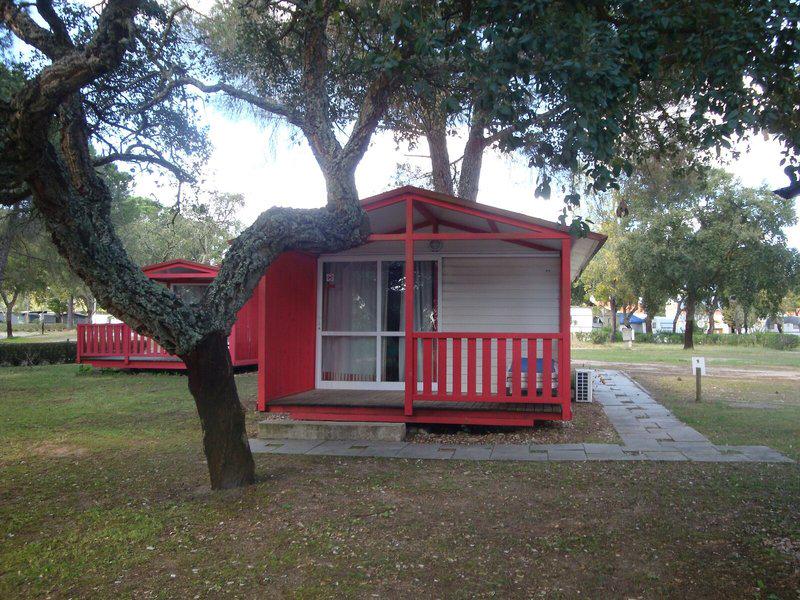 7D5FCB618371F6C9113418838DE755E7