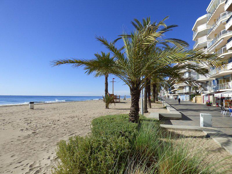 B2F7BB67A333BA89154FD6AD975A3AAF