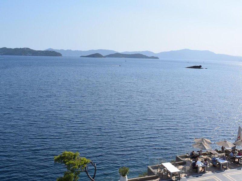 C068058C63E9538A2F26C9957B5EE2EA