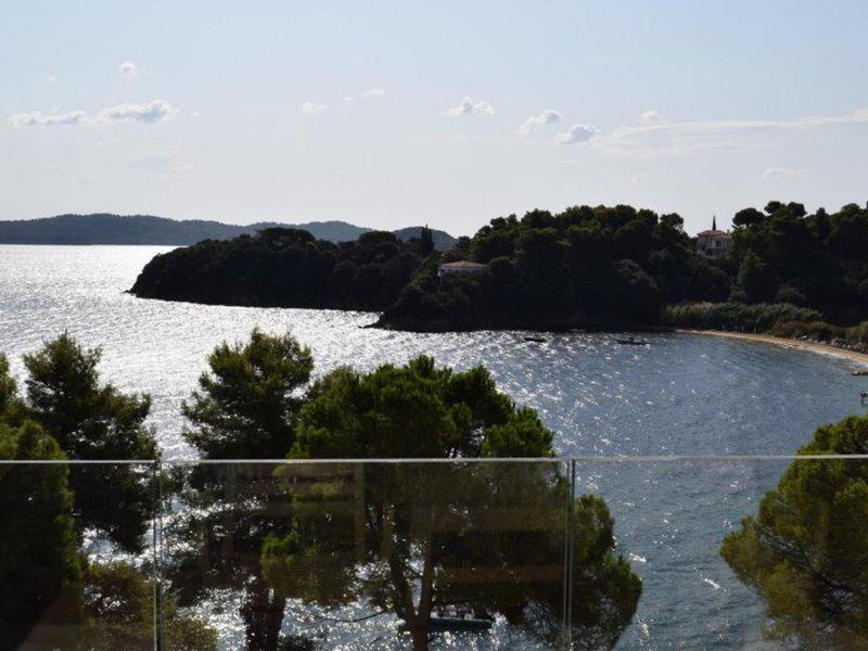 0E80F8B797056882D12E79D3477F85FC