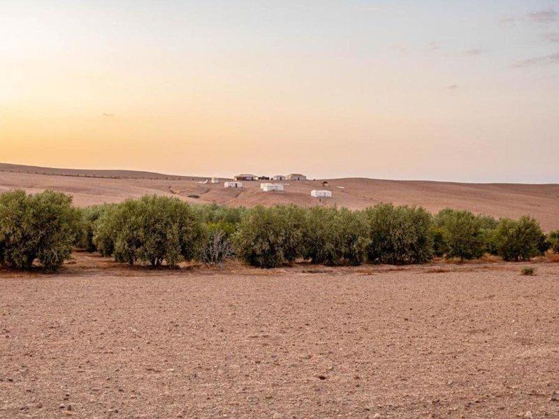 CFEEEF397761E7AE7C3BF5D92288CEE1