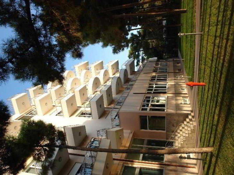 93DD5924ECCCAC0BF63A8B107F03A5AD