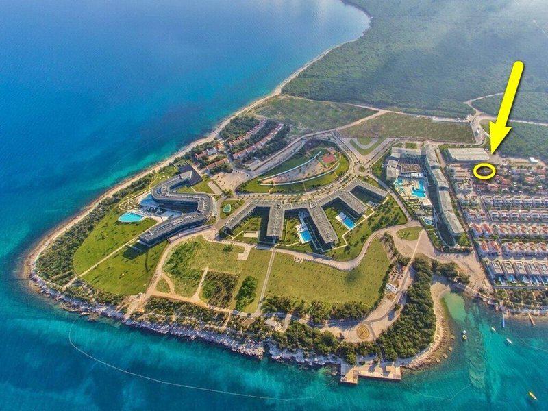 C921C95D44575DED2AE1B9AD1DCE99A9