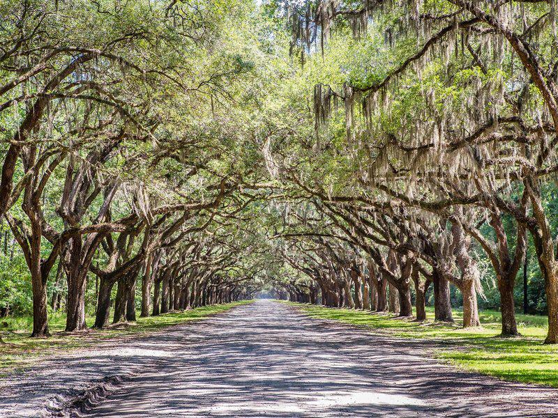 1750BCA9AFCE19B8F2D327C57B6E9EE7