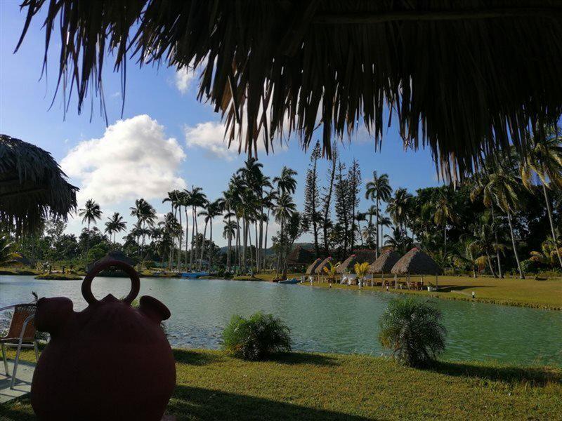 50C9B6A3C2843ECC2D06CE726521122F