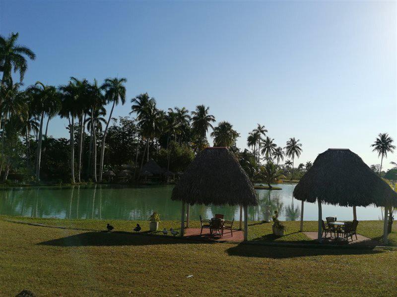 DE632FE6C35A17E56F8C786CE0413A14