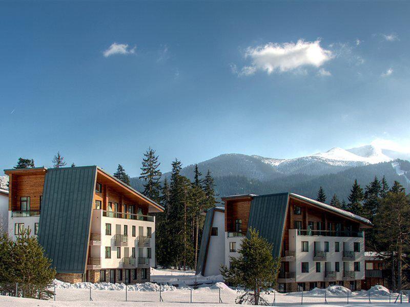 132EF097B5525926E25F2FEC5A60262E