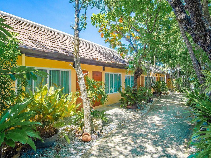 D33FAF33DD78DF5C8683FE5EC5E87A50