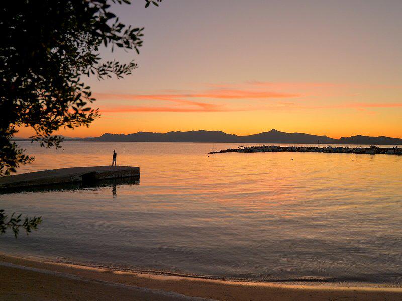 11A6CED6363198E05DE9511E2435866D