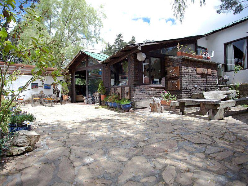 369E201C16EA02ECF193A1698800D50E